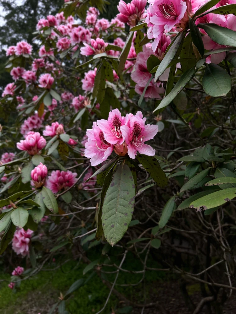 Image uploaded by Dan