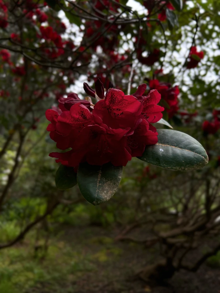 Image uploaded by Dan