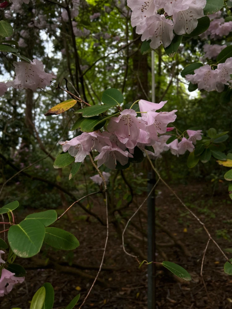 Image uploaded by Dan