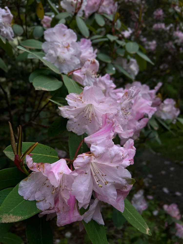 Image uploaded by Dan