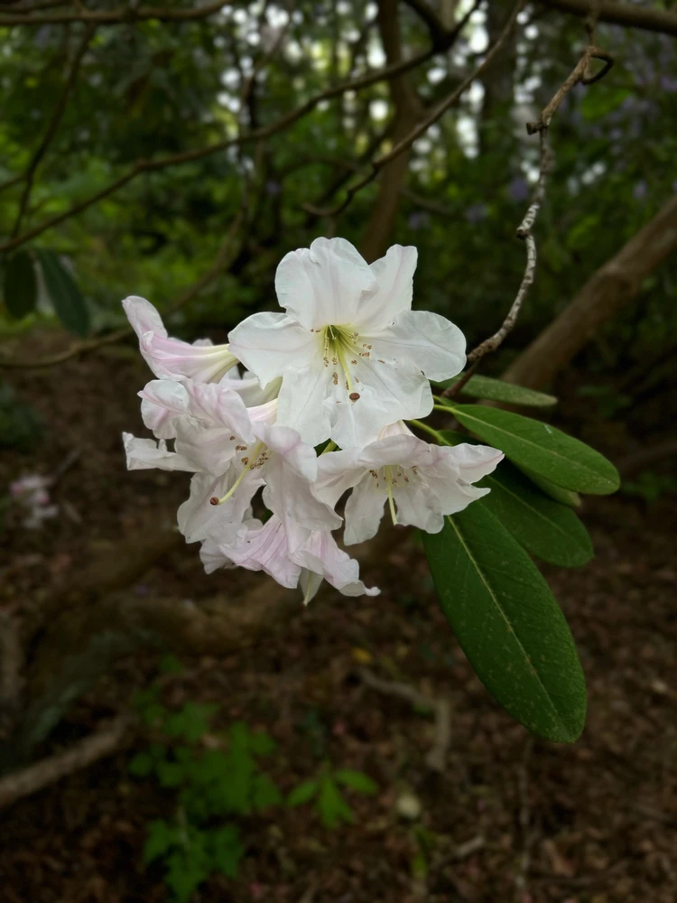 Image uploaded by Dan