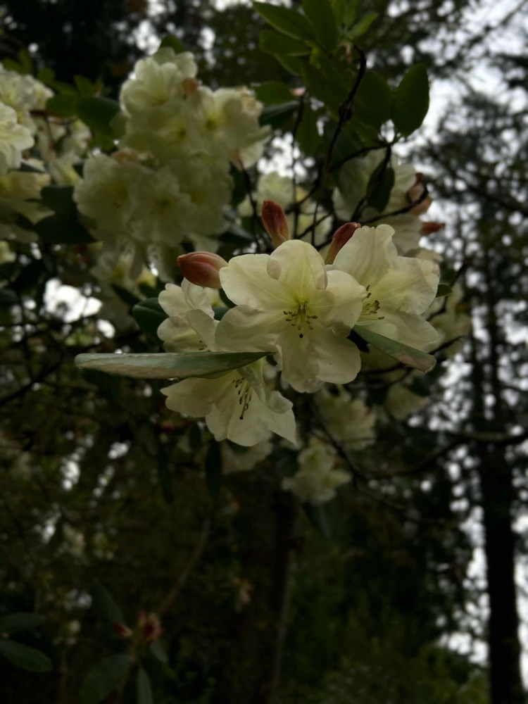 Image uploaded by Dan