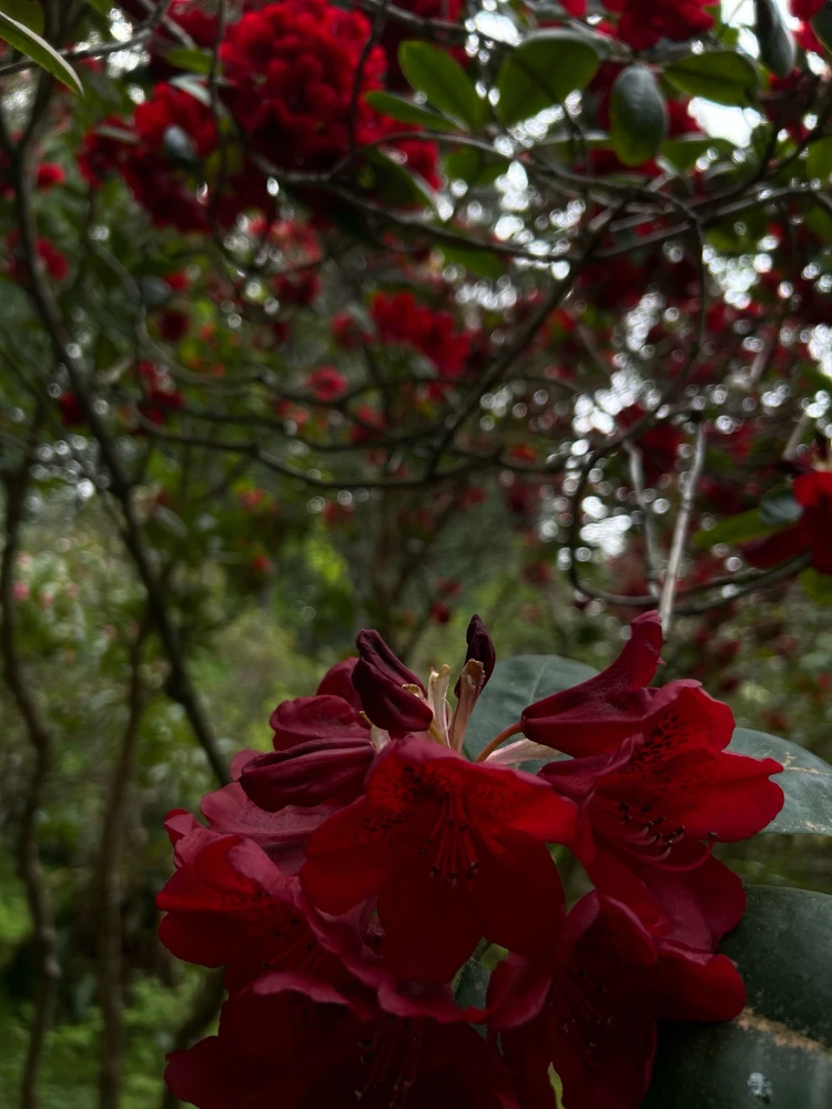 Image uploaded by Dan