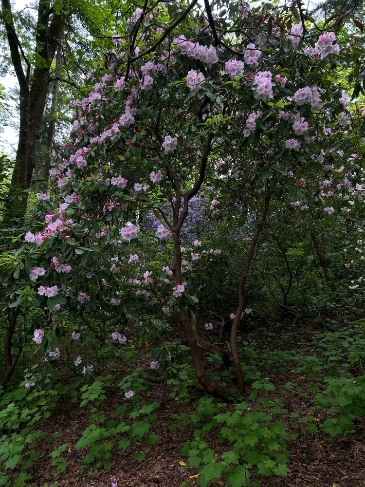 Image uploaded by Dan