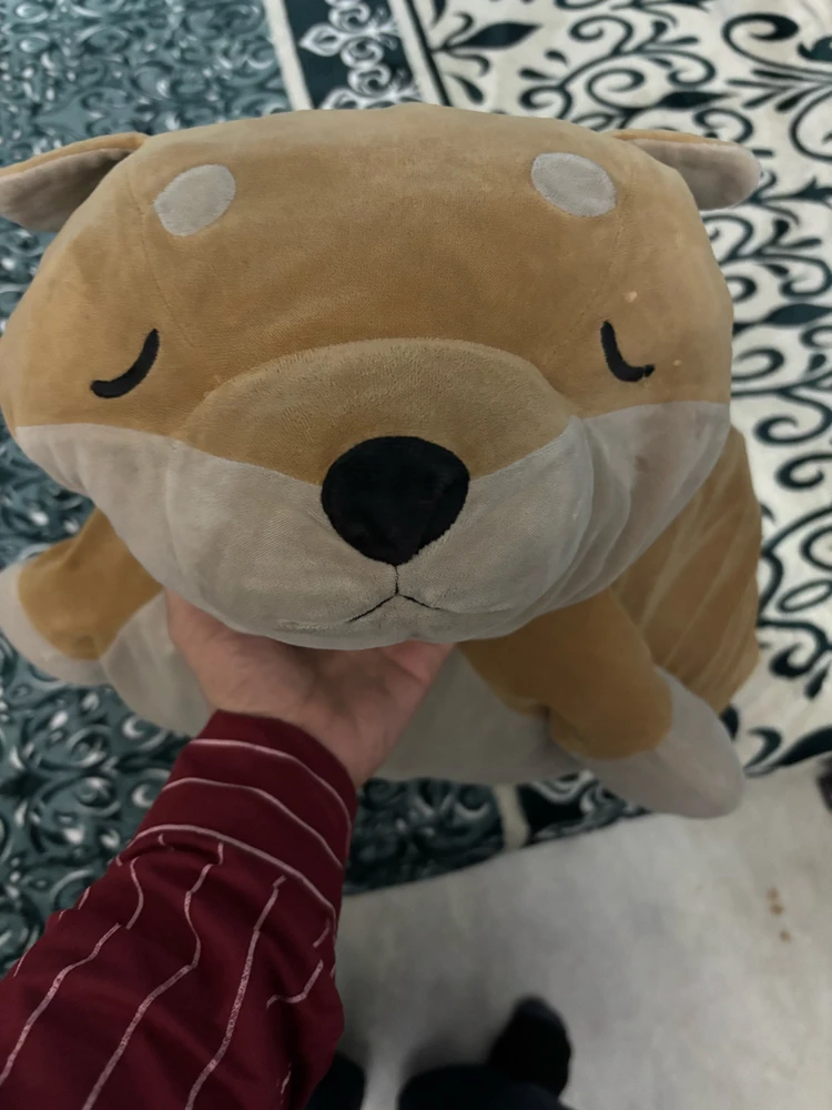 She is joll she loves sleeping and cuddling