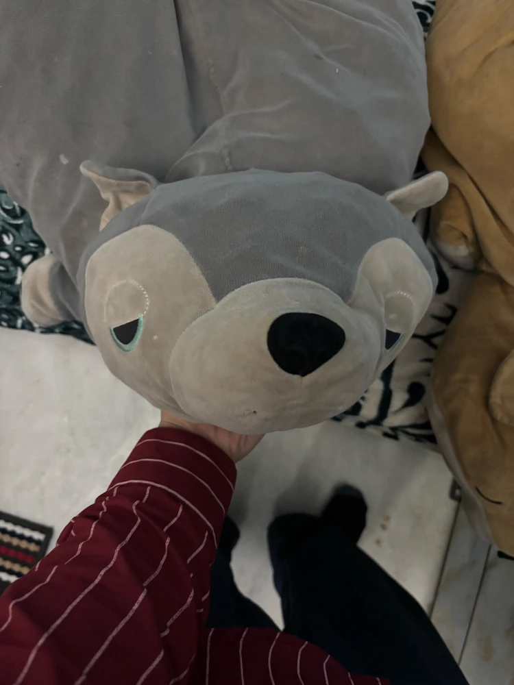 He is tim he loves night life and he sing 🎤 in diffrent voices