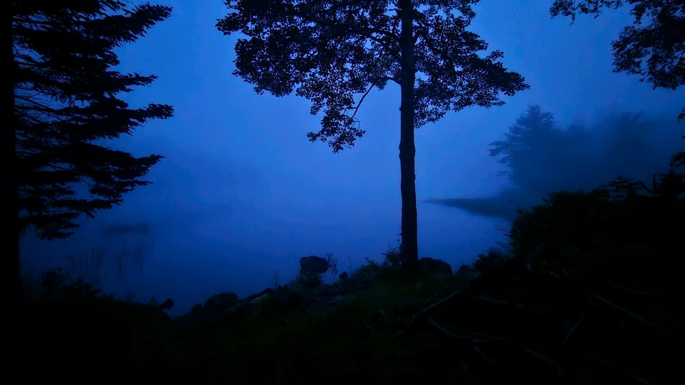 Image uploaded by Jordi