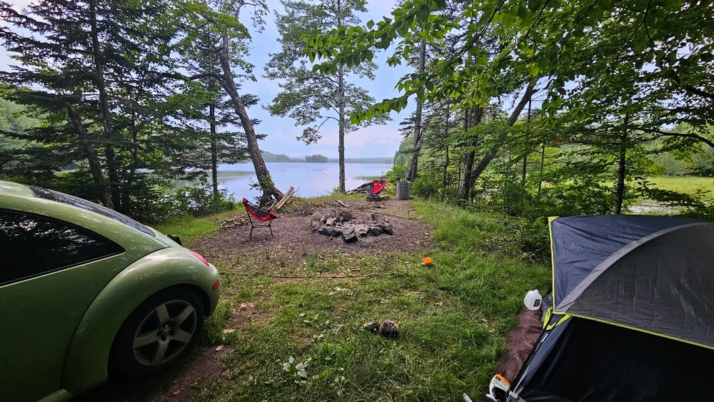 Image uploaded by Jordi