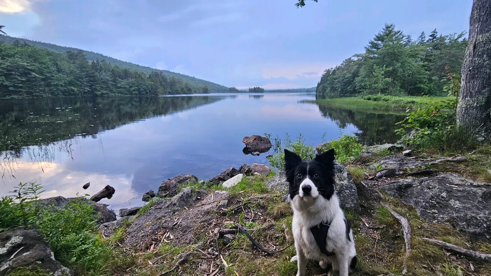 Image uploaded by Jordi