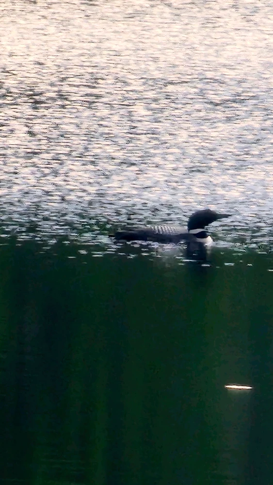 Image uploaded by Jordi