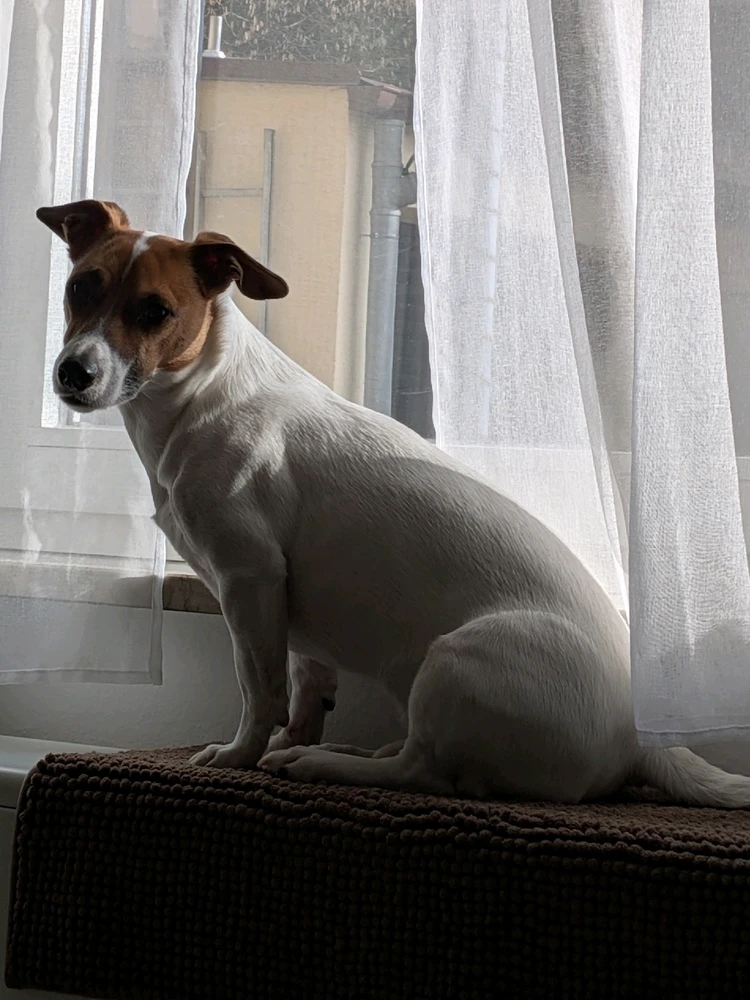 Гіфку завантажив Julia