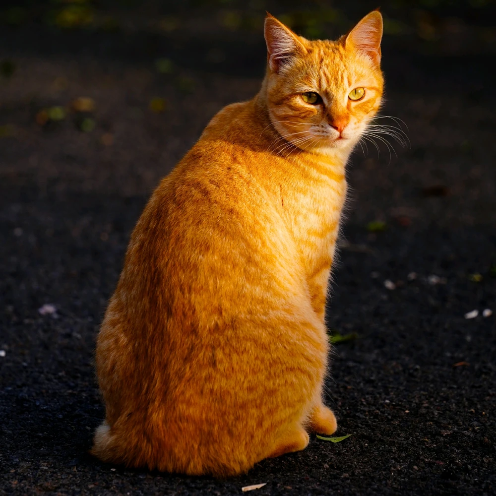 Image uploaded by Jakub