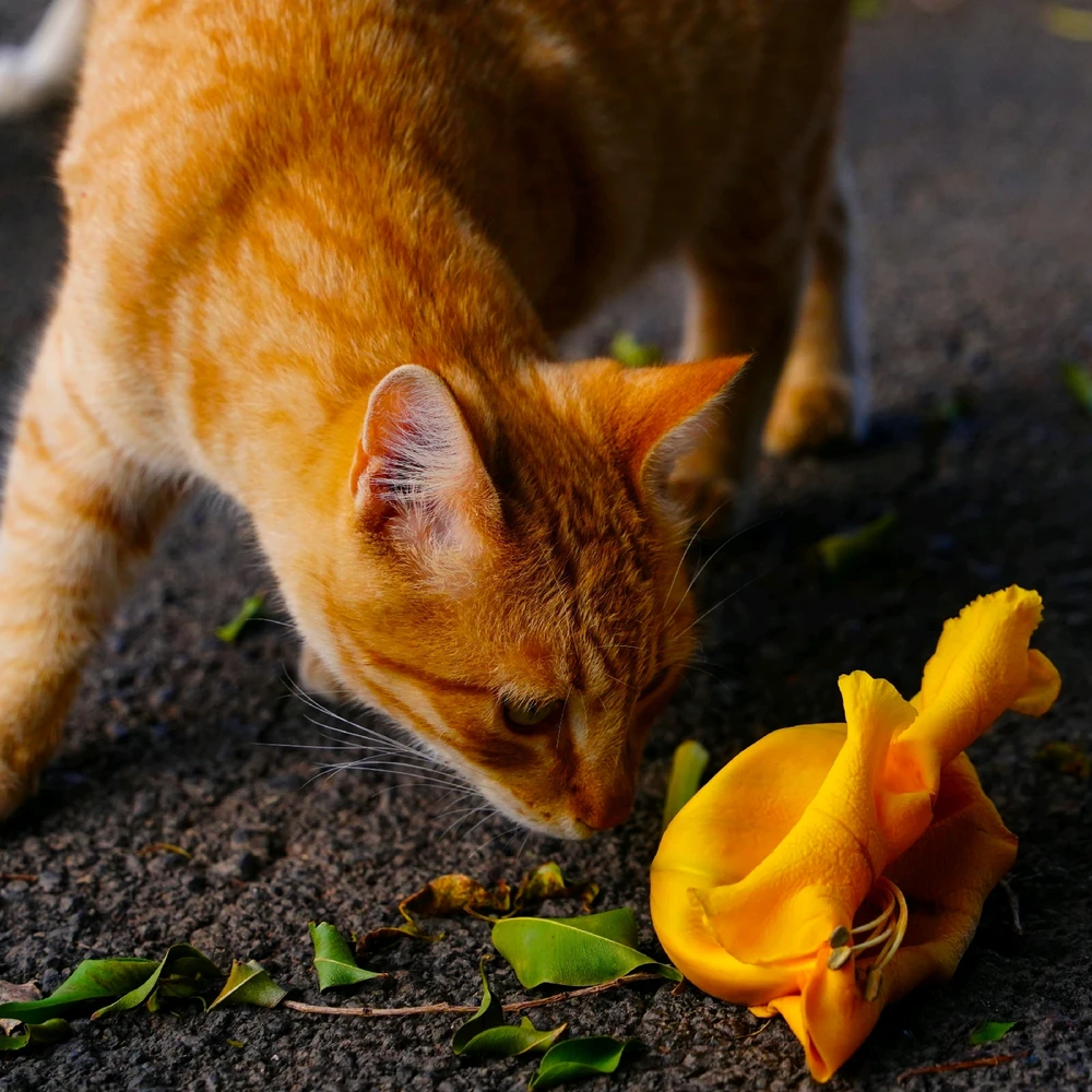 Image uploaded by Jakub