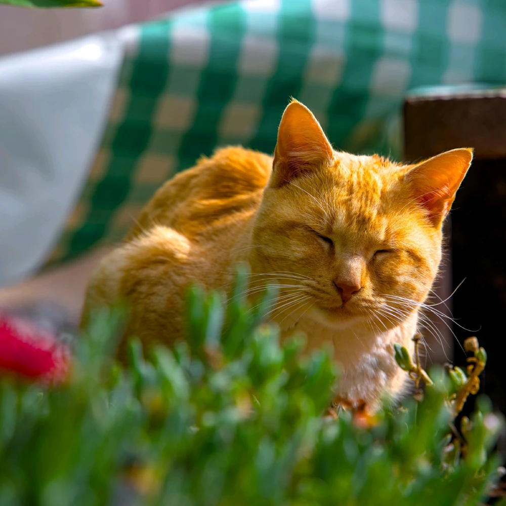 Image uploaded by Jakub