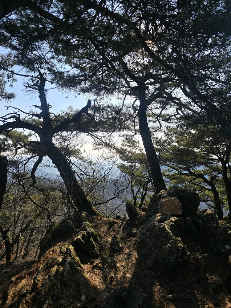 Image uploaded by Chantze