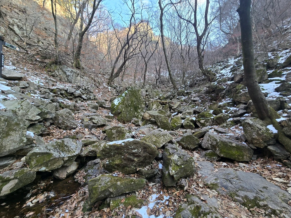 Image uploaded by Chantze