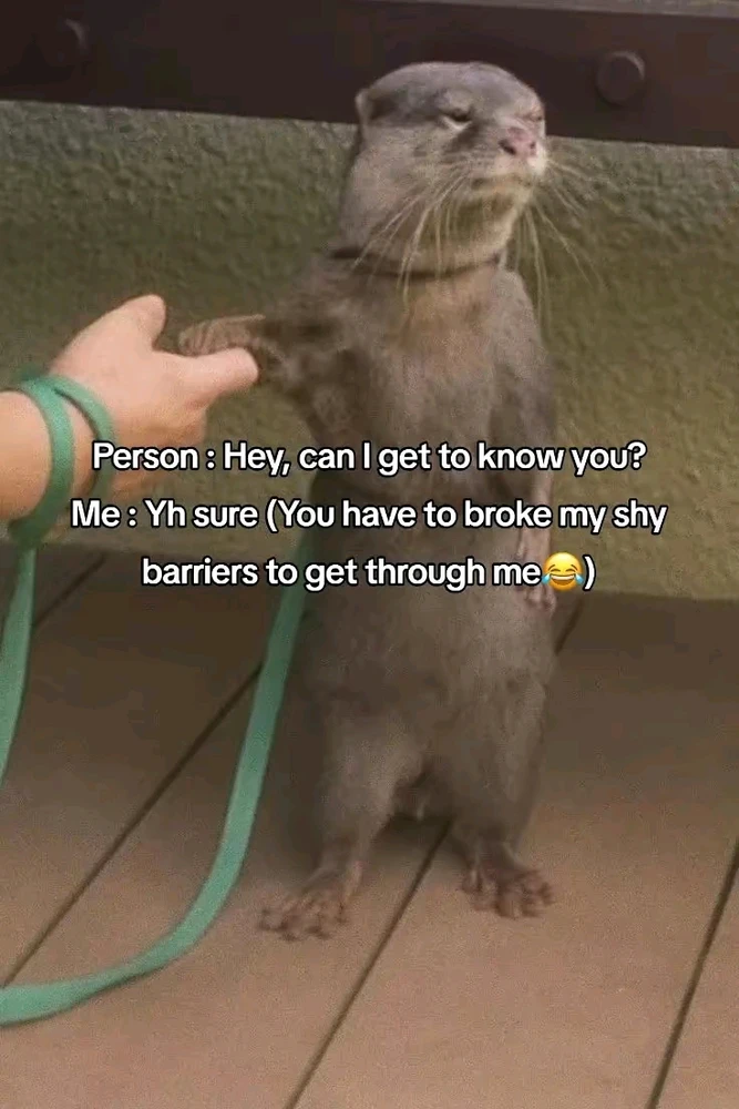 GIF diunggah dening 🦇𝐸𝓇𝒾