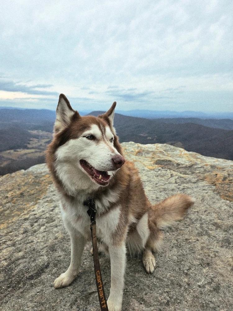 Image uploaded by Colby Langley