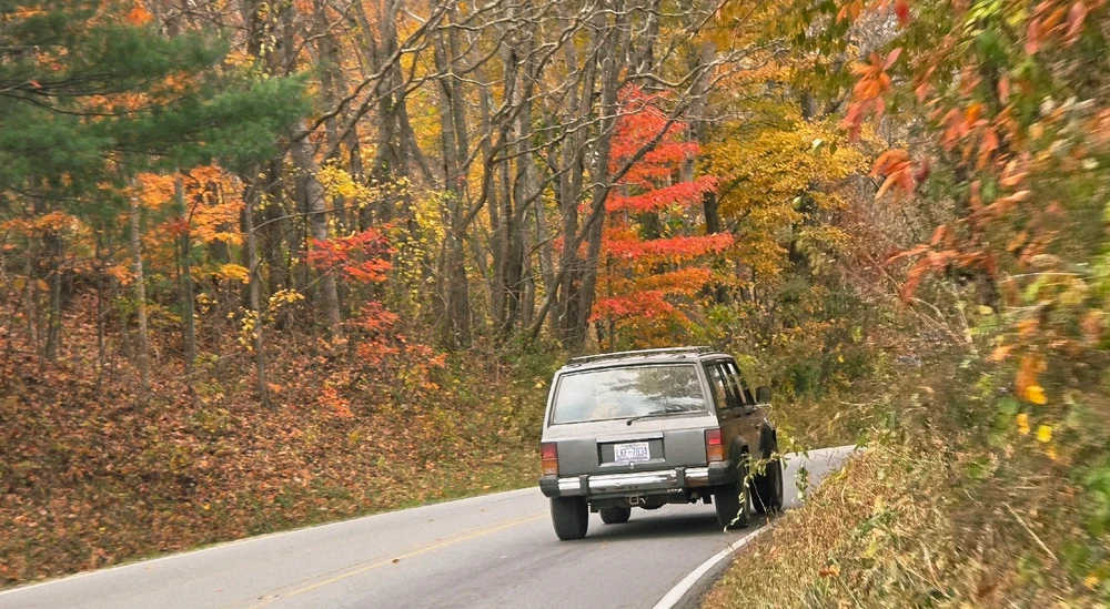 Image uploaded by Colby Langley