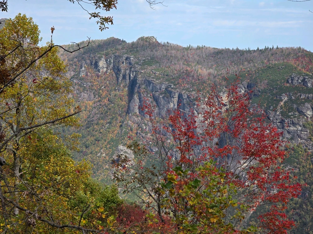 Image uploaded by Colby Langley