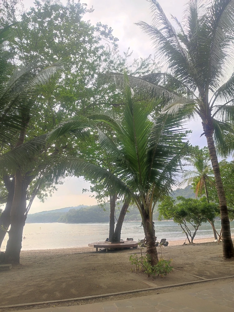 Image uploaded by Ella