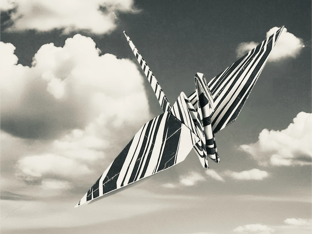 GIF caricata da Simone