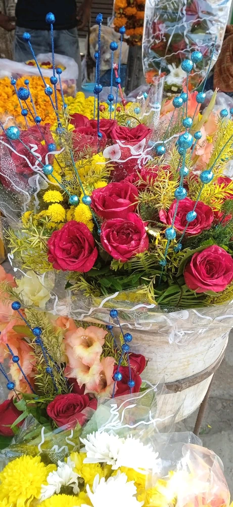 Image uploaded by Shalu