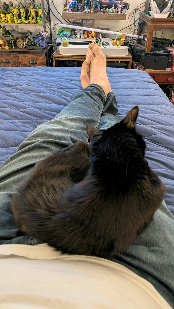 GIF uploaded by Scott