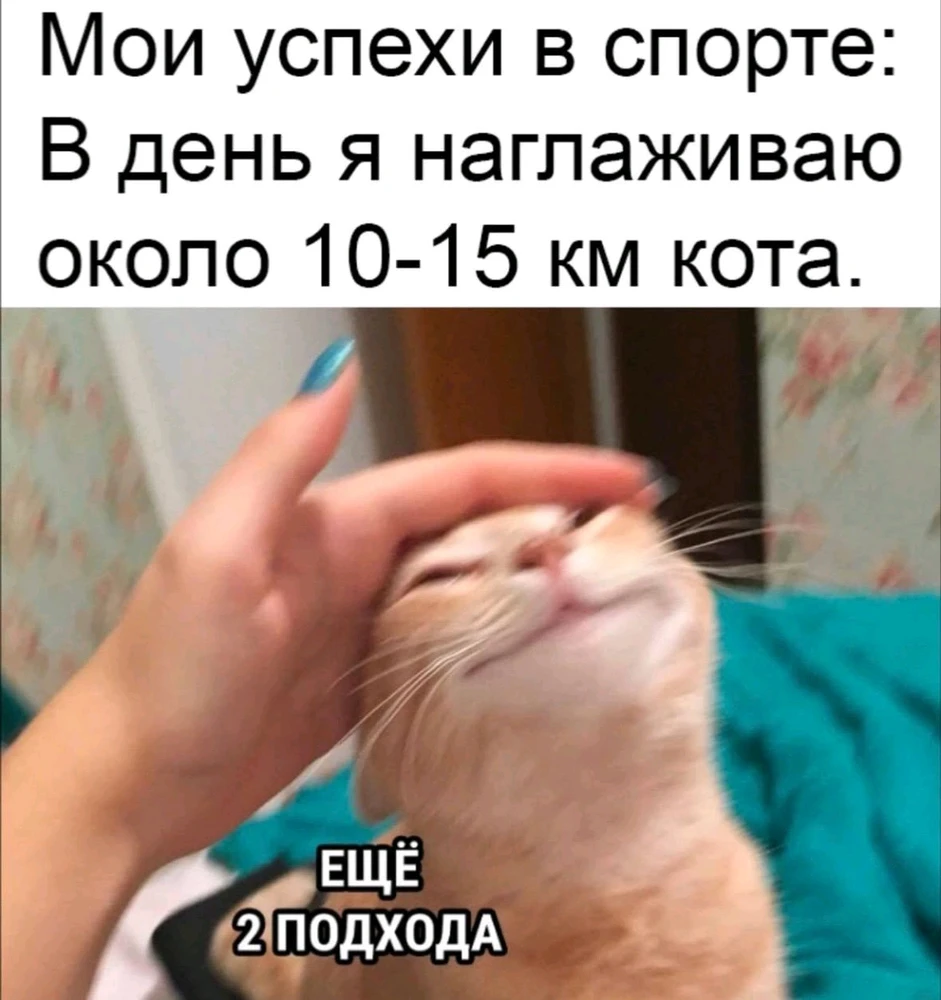 GIF загрузил Maksim