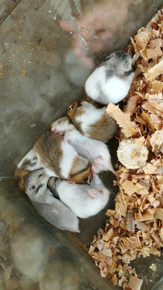 GIF uploaded by Tiatiatia