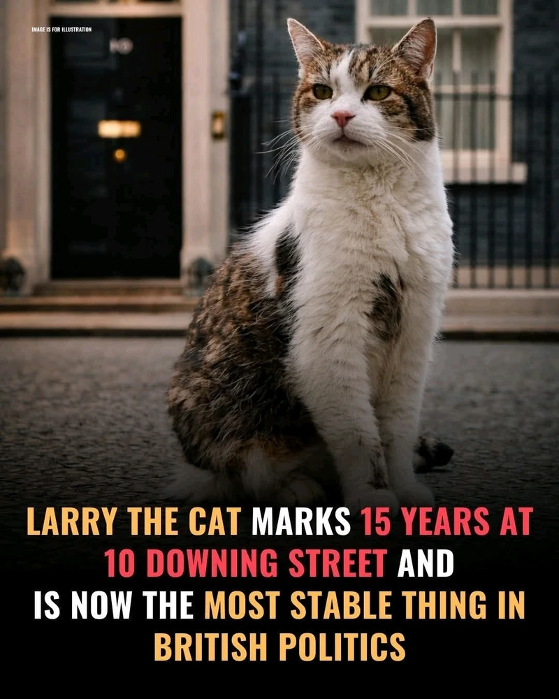 GIF uploaded by ๐ข๐ฎ๐ป๐ฎ๐ท โข ๐ข๐ฎ๐ป๐ฎ๐ท๐ญ๐ฒ๐น๐ฒ๐ฝ๐