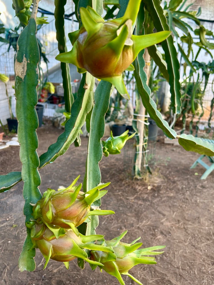 Immagine caricata da IlVento