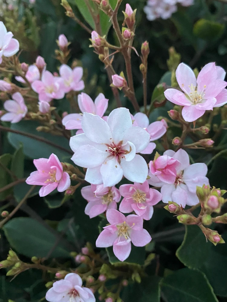 GIF uploaded by Kayla