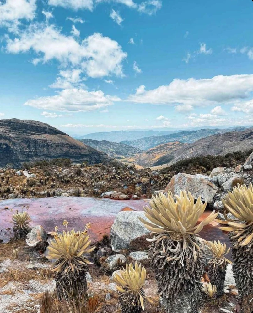 GIF uploaded by Nora Danithza