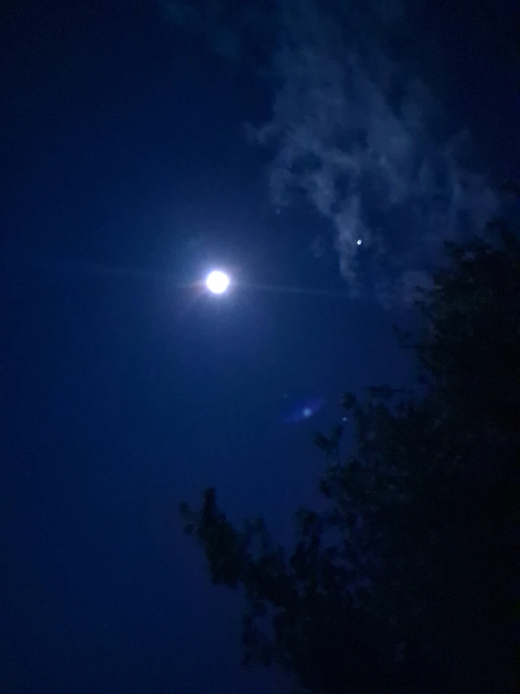 GIF uploaded by Twopercentnorseman