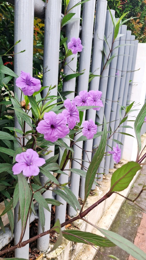 GIF uploaded by Jules