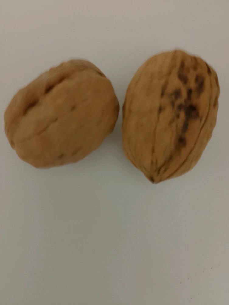 GIF caricata da Christian