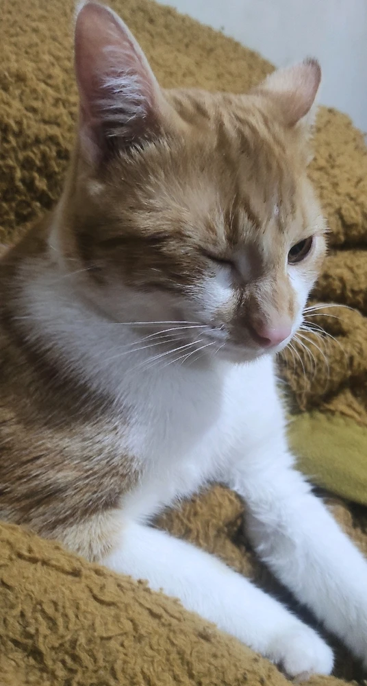 GIF enviado por Karime