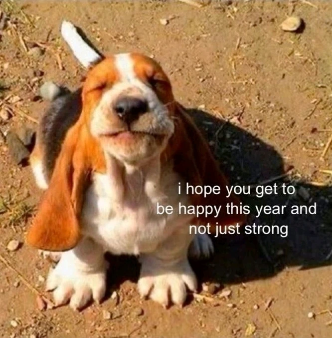 GIF uploaded by Wren