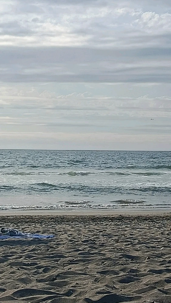 GIF subido por Nocse te psum