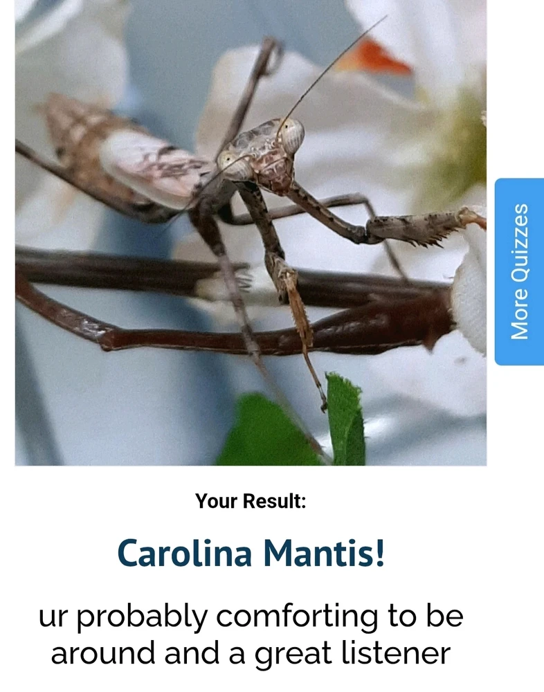 GIF uploaded by Anna