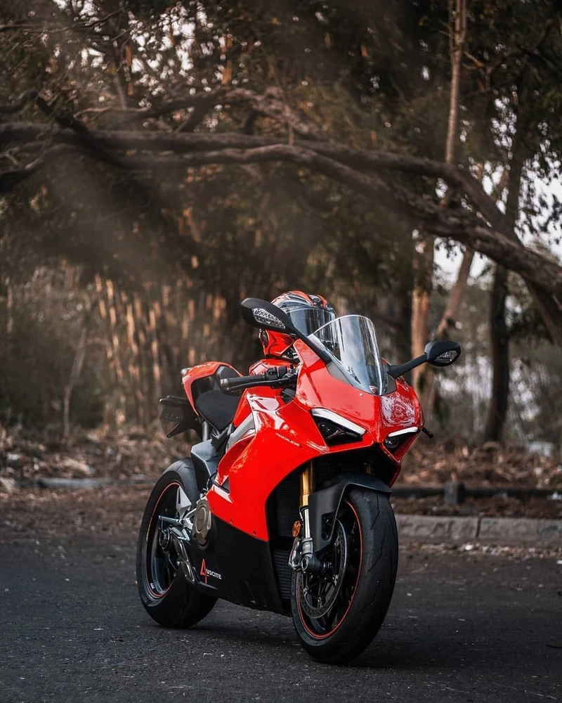 Image uploaded by Jeet