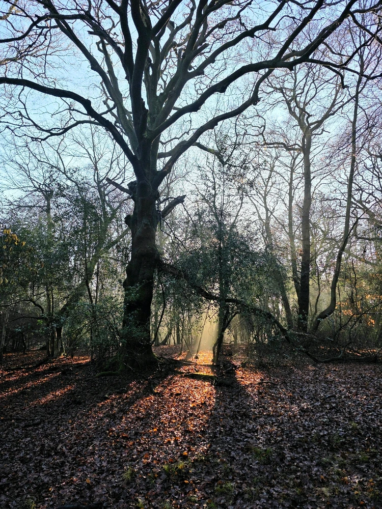 GIF uploaded by Sacha