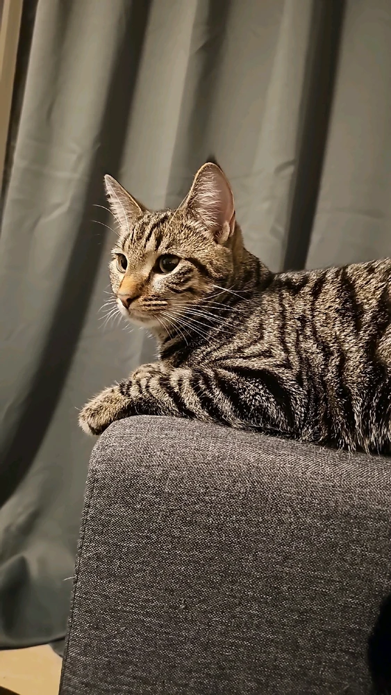 GIF uploaded by Sandra