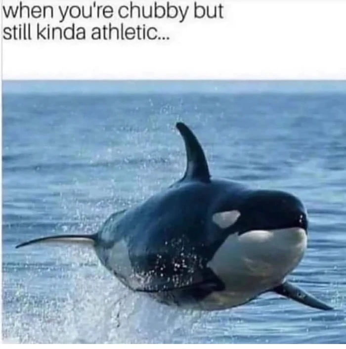 GIF uploaded by Barry