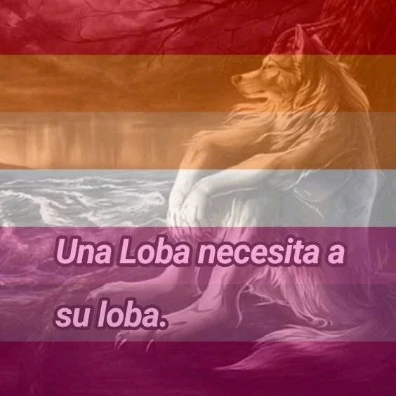 Imagem enviada por Lucas Jinxer