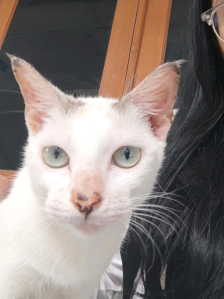 GIF diunggah oleh Ester