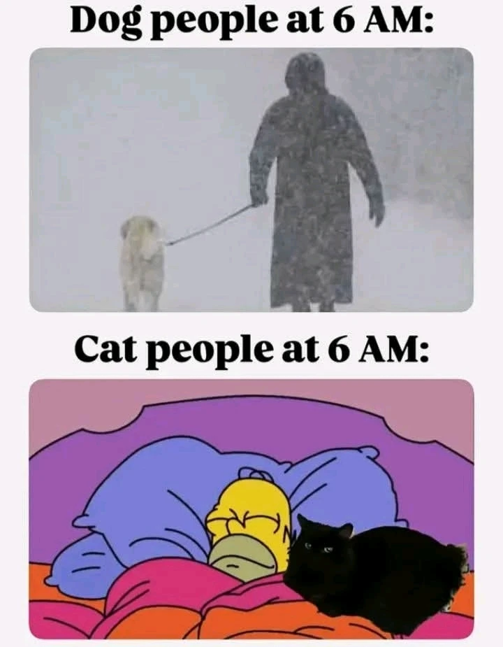 GIF uploaded by Jake