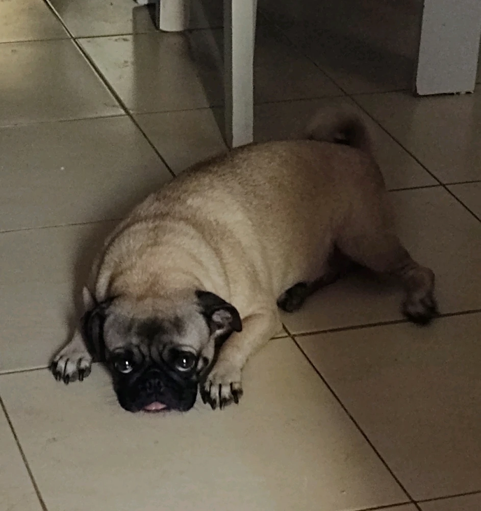 GIF uploaded by Olivia Clark