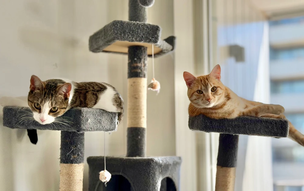 GIF uploaded by Russell